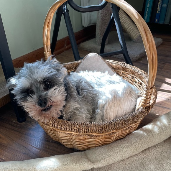 Back to selling 🥰 and shopping 😍 - Picture 4 of 9